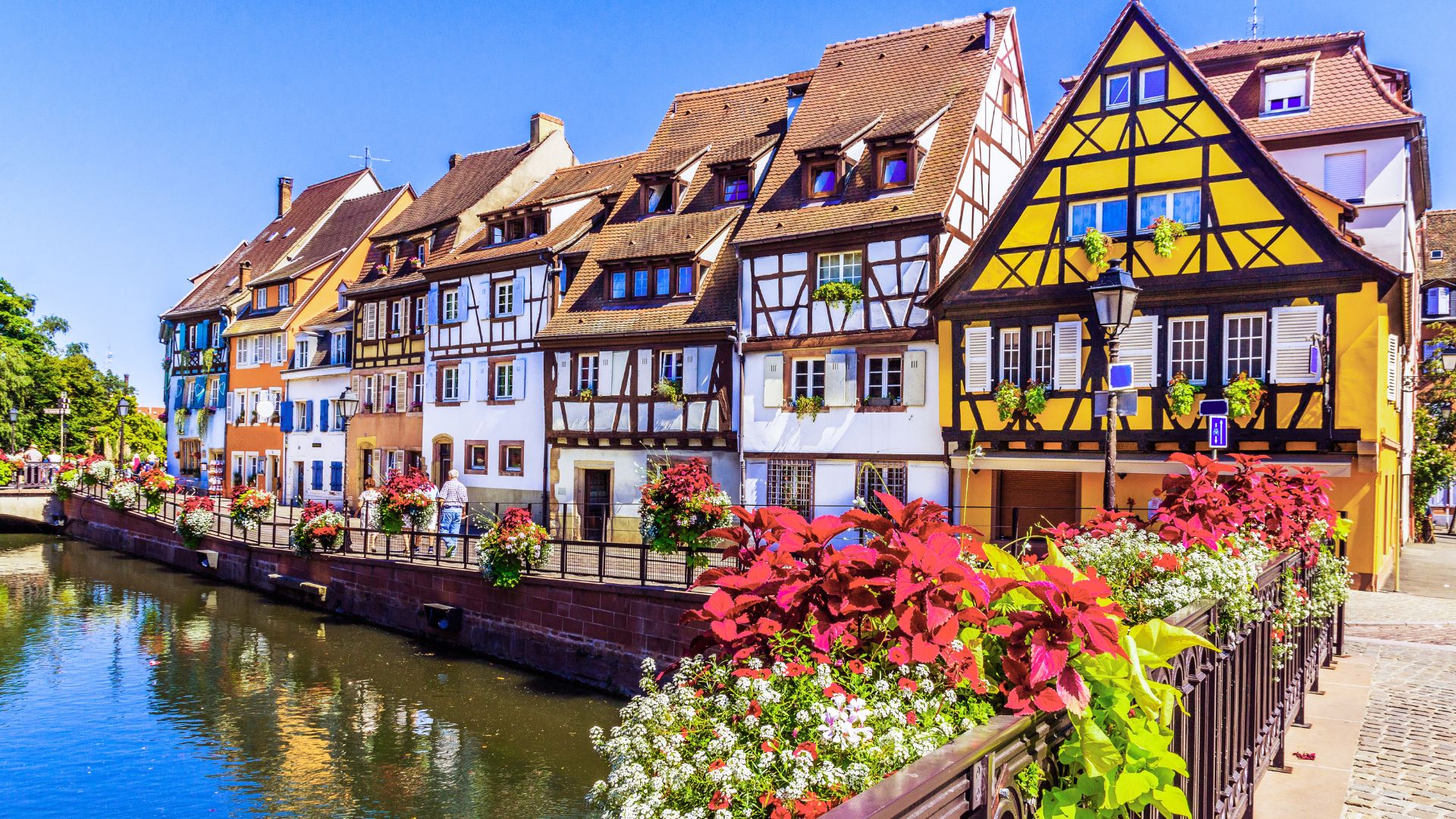 Colmar