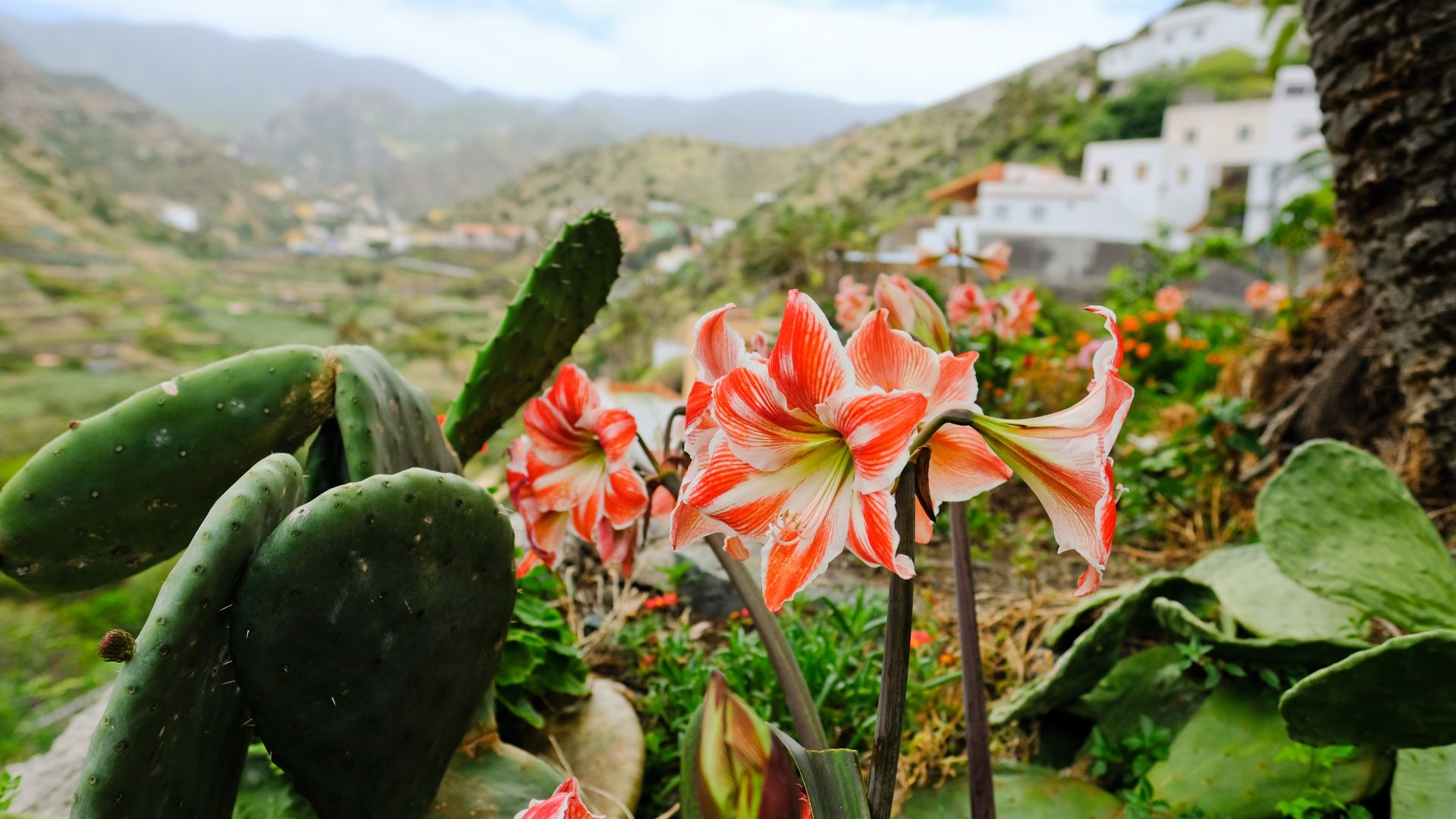 La Gomera