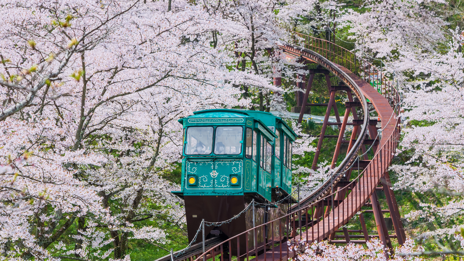 Japon7
